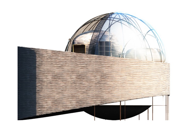 rhizoid - vizualizace 6